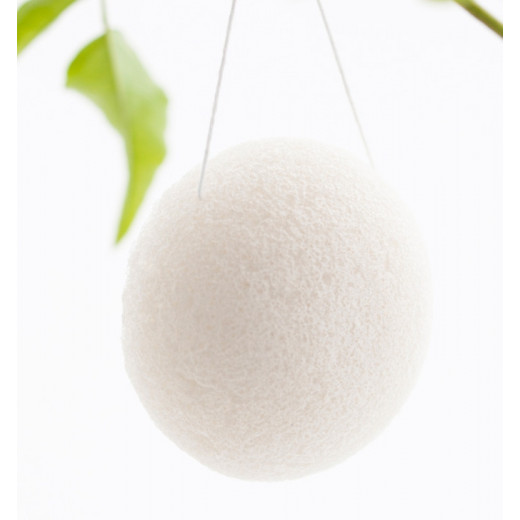 Konjac Vegetable Sponge