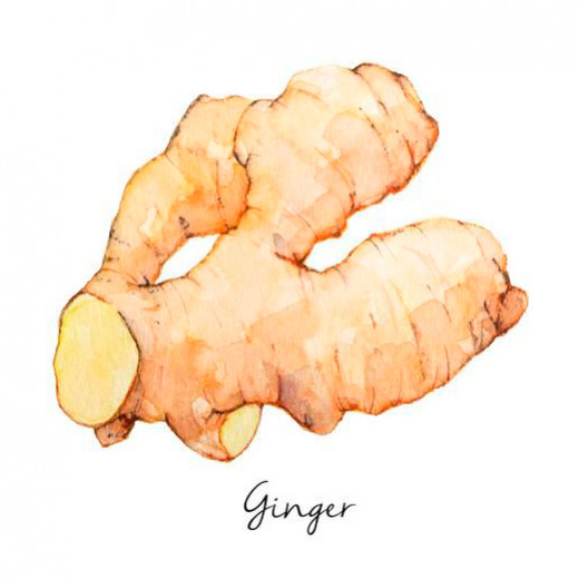 Ginger: The root of the youthful appearance